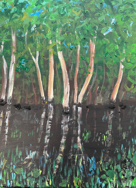 Adults Fogg Dam Landscape Workshop 22nd Nov