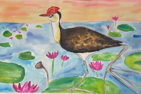 Adults watercolour Jacanas Workshop- 22nd February