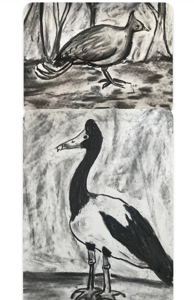 Charcoal Drawings- Wednesday 30th Sept Afternoon workshop
