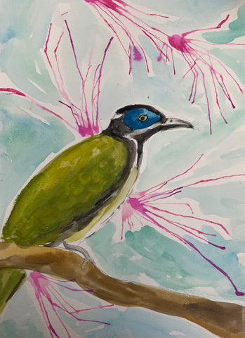 Kids blue faced Honey Eater workshop 23rd Nov