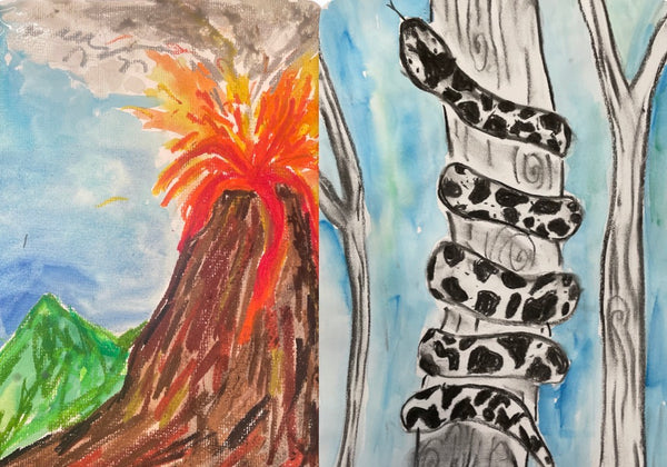 Snakes and Volcanoes 🌋 Holiday Workshop- Monday 6th July Morning