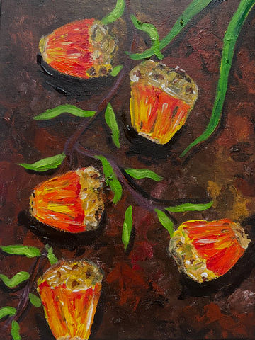 Pandanus Seeds Workshop for Adults 20th Sept