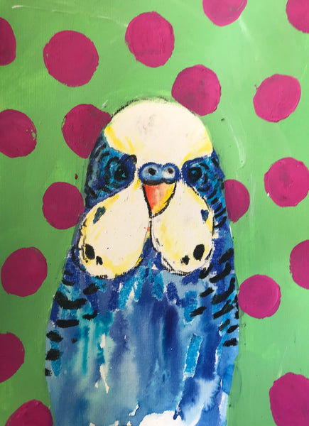 Kids Budgie Saturday Morning Workshop- 28th February